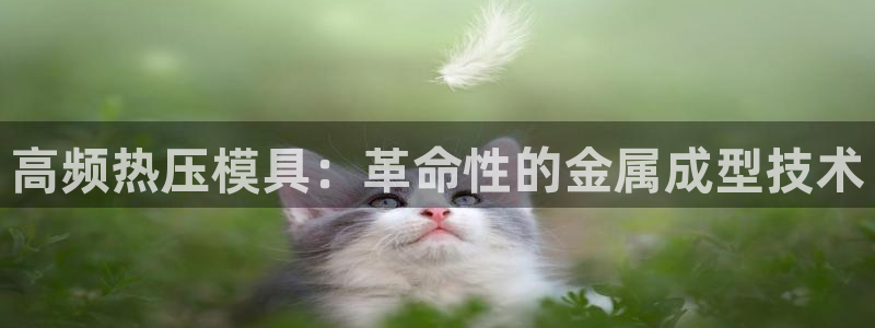 易倍单词登录平台：高频热压模具：革命性的金属成型技术