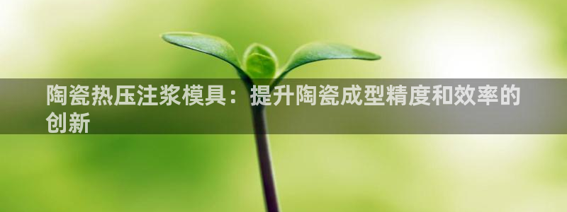 易倍申服用方法：陶瓷热压注浆模具：提升陶瓷成型精度和效率