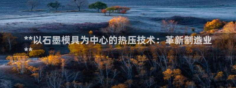 杭州易倍达科技有限公司怎么样：**以石墨模具为中心的热压