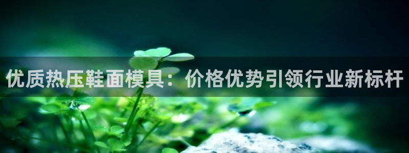 易倍app网站：优质热压鞋面模具：价格优势引领行业新标杆
