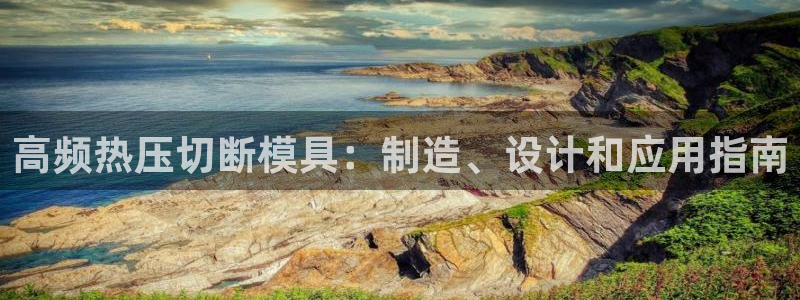 易倍达科技有限公司怎么样：高频热压切断模具：制造、设计和