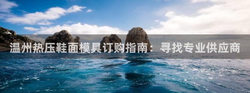 emc备份软件：温州热压鞋面模具订购指南：寻找专业供应商