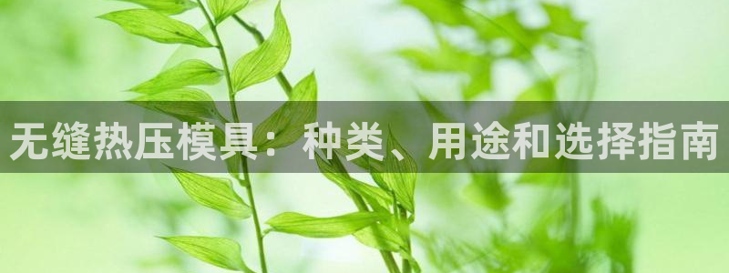 易倍申价格是多少：无缝热压模具：种类、用途和选择指南