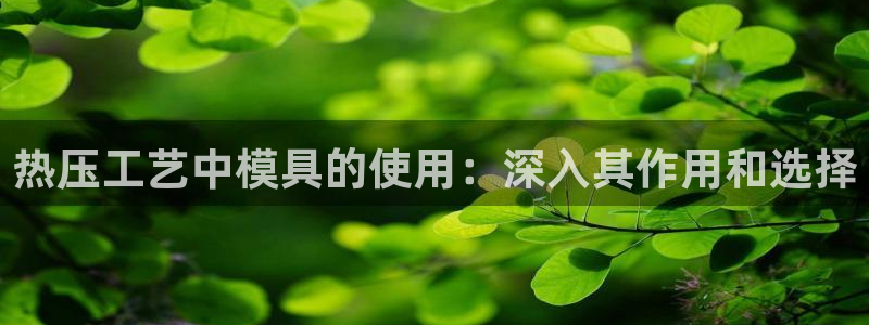 易倍申的副作用：热压工艺中模具的使用：深入其作用和选择