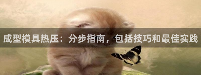 易倍康简历：成型模具热压：分步指南，包括技巧和最佳实践