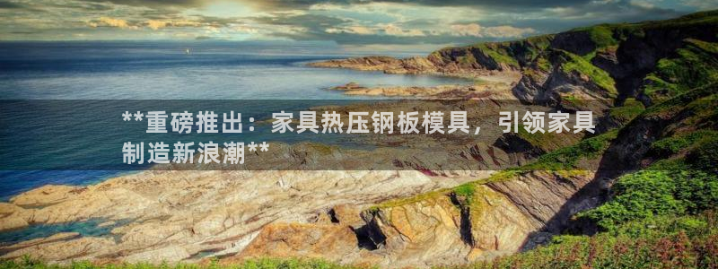 易倍申不良反应：**重磅推出：家具热压钢板模具，引领家具