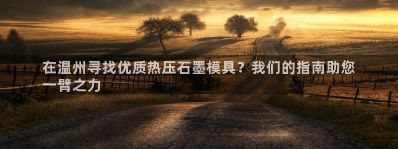 易倍全站：在温州寻找优质热压石墨模具？我们的指南助您
一