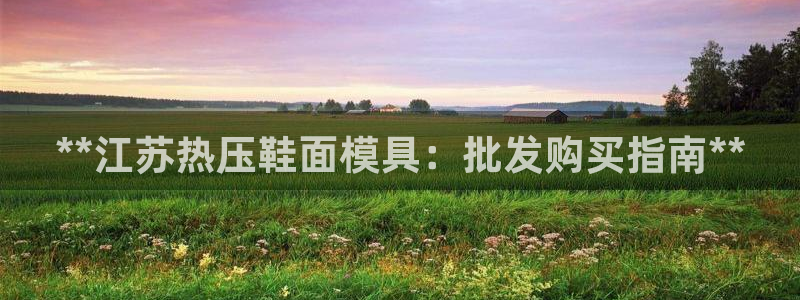 emc倍频只能是奇数倍吗：**江苏热压鞋面模具：批发购买
