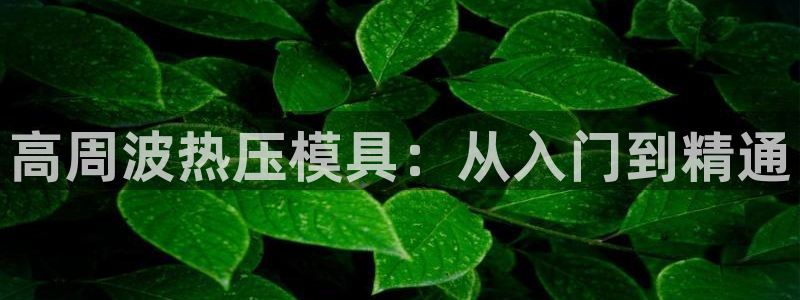 易倍申不良反应：高周波热压模具：从入门到精通