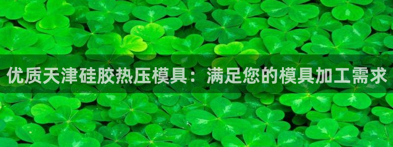 emc易倍网站是多少：优质天津硅胶热压模具：满足您的模具