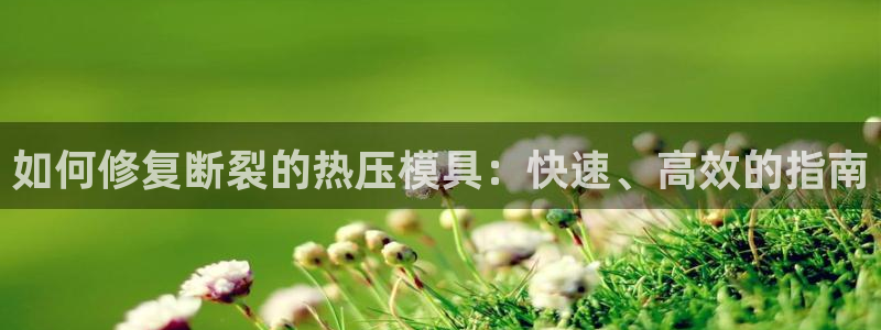 emc调试技巧：如何修复断裂的热压模具：快速、高效的指南