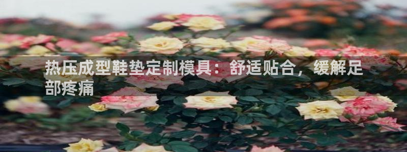 emc易倍全站：热压成型鞋垫定制模具：舒适贴合，缓解足
