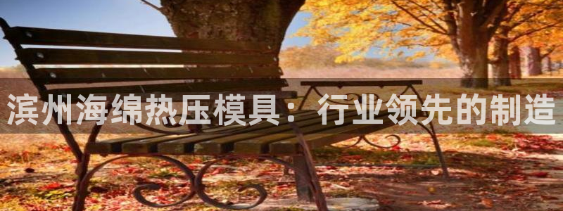 emc易倍最新链接：滨州海绵热压模具：行业领先的制造