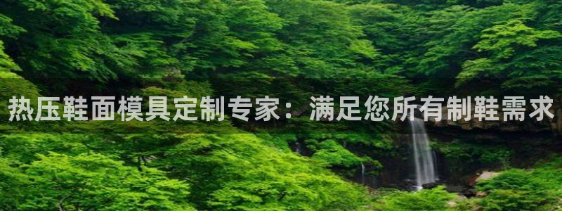 易倍emc网址：热压鞋面模具定制专家：满足您所有制鞋需求