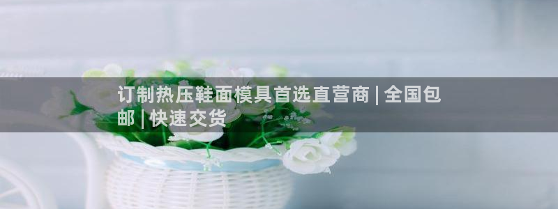 emc易倍网页版：订制热压鞋面模具首选直营商 | 全国包