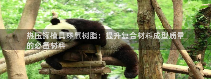 emcapp下载普通下载：热压罐模具环氧树脂：提升复合材
