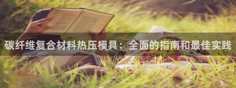 易倍纤瘦身三部曲的价格：碳纤维复合材料热压模具：全面的指