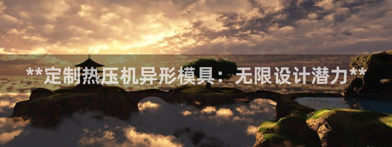 易倍达科技有限公司代运营：**定制热压机异形模具：无限设