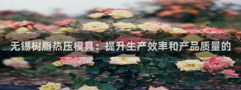 易倍纤官网：无锡树脂热压模具：提升生产效率和产品质量的
