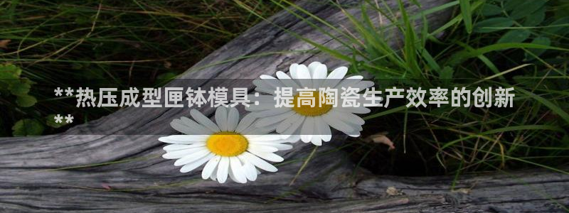易倍电竞：**热压成型匣钵模具：提高陶瓷生产效率的创新
