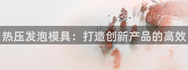 杭州易倍达：热压发泡模具：打造创新产品的高效