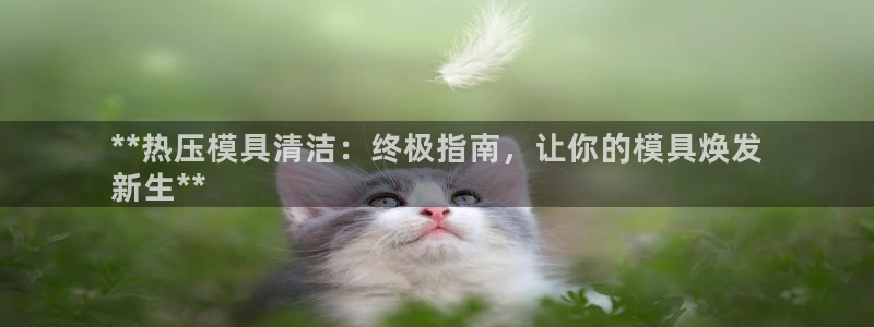 上海易倍投资有限公司：**热压模具清洁：终极指南，让你的