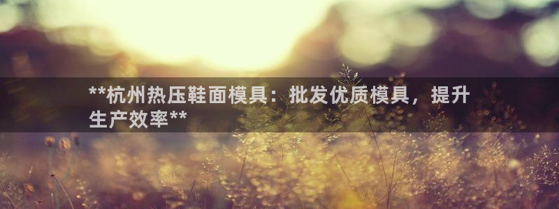 易倍纤怎么使用：**杭州热压鞋面模具：批发优质模具，提升