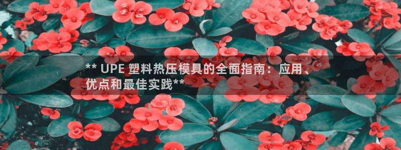 易倍app官网下载安装：** UPE 塑料热压模具的全面