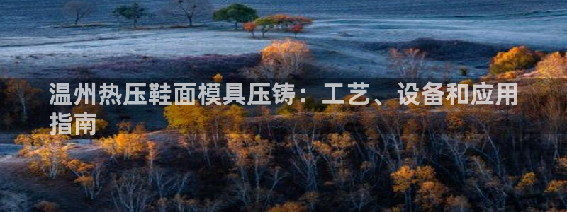 emc下载：温州热压鞋面模具压铸：工艺、设备和应用
指南