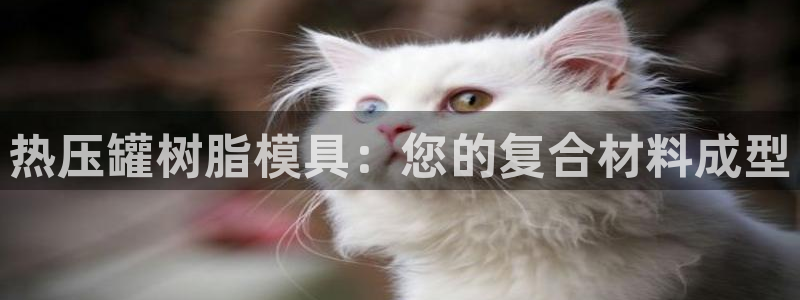 emc测试频率范围：热压罐树脂模具：您的复合材料成型