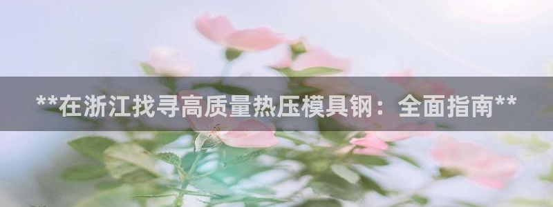 易倍全站下载：**在浙江找寻高质量热压模具钢：全面指南*