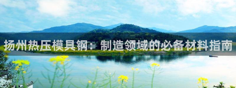 易倍单词app：扬州热压模具钢：制造领域的必备材料指南