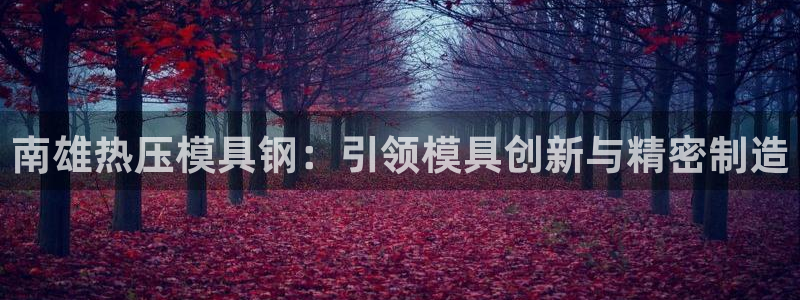 易倍申片说明书：南雄热压模具钢：引领模具创新与精密制造