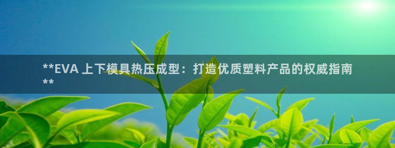 emc参数：**EVA 上下模具热压成型：打造优质塑料产