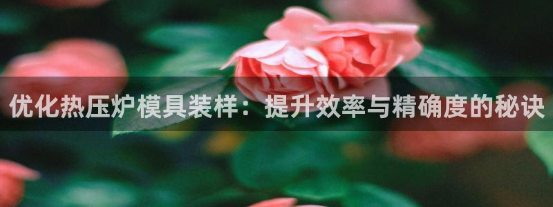emc倍频超了：优化热压炉模具装样：提升效率与精确度的秘