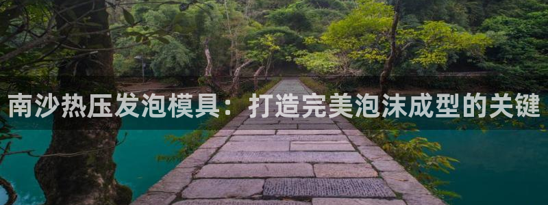 emc全站下载：南沙热压发泡模具：打造完美泡沫成型的关键