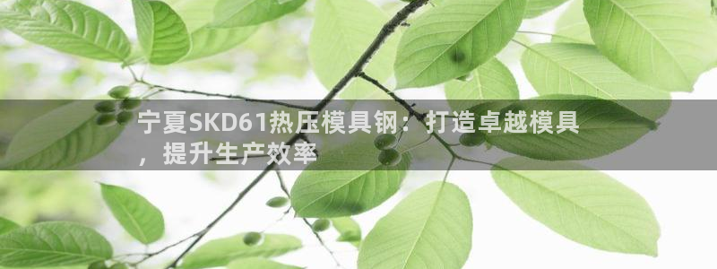 武汉易倍捷科技有限公司：宁夏SKD61热压模具钢：打造卓
