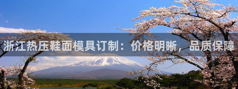 易倍达科技有限公司招聘：浙江热压鞋面模具订制：价格明晰，