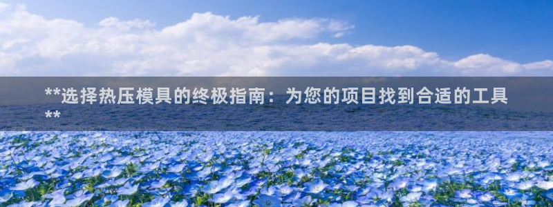 emc易倍官网app下载：**选择热压模具的终极指南：为
