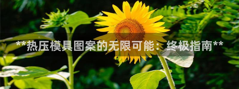 易倍单词平台：**热压模具图案的无限可能：终极指南**
