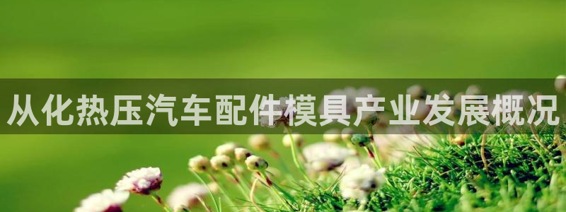 易倍纤减肥反弹不：从化热压汽车配件模具产业发展概况