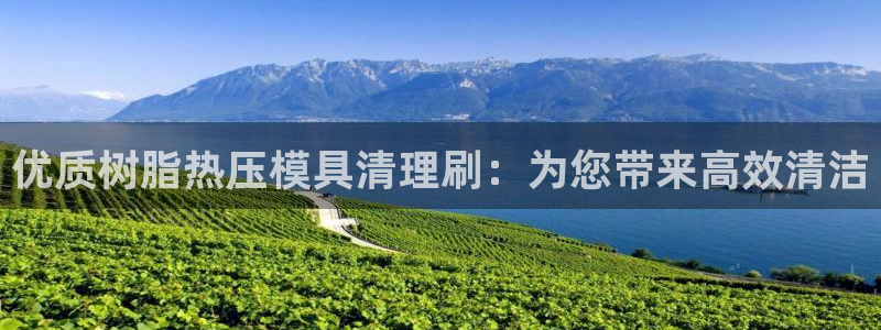 易倍纤减肥价格：优质树脂热压模具清理刷：为您带来高效清洁