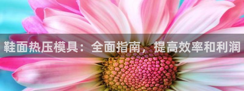 emc易倍官方下载：鞋面热压模具：全面指南，提高效率和利