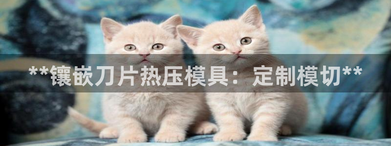 emc app下载：**镶嵌刀片热压模具：定制模切**