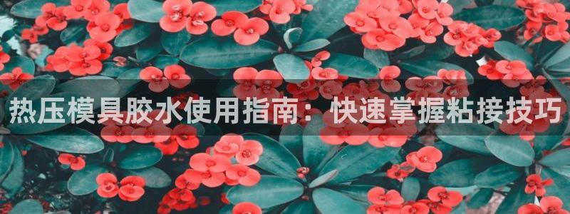 易倍达怎么样：热压模具胶水使用指南：快速掌握粘接技巧