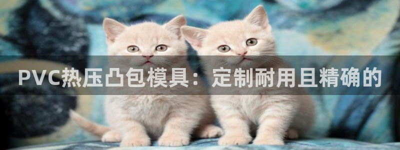 emc登录网站：PVC热压凸包模具：定制耐用且精确的