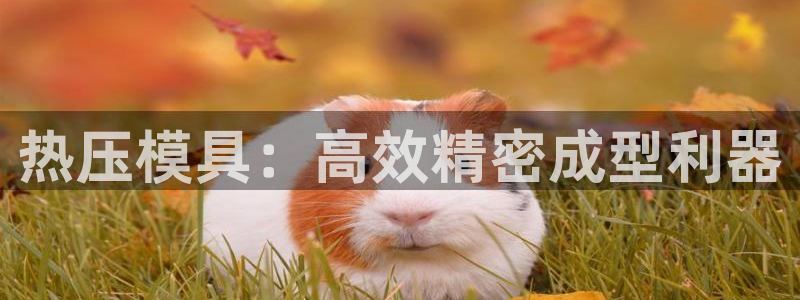 易倍申服用方法：热压模具：高效精密成型利器