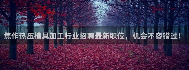 易倍纤谷物粉效果好吗：焦作热压模具加工行业招聘最新职位，