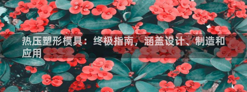 易倍纤官网：热压塑形模具：终极指南，涵盖设计、制造和
应