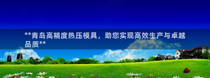 易倍纤瘦身三部曲的价格：**青岛高精度热压模具，助您实现